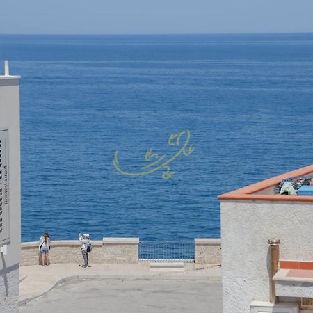 Td Casa Marevino Seaside Terrace With Panoramic Views Villa Polignano a Mare Buitenkant foto